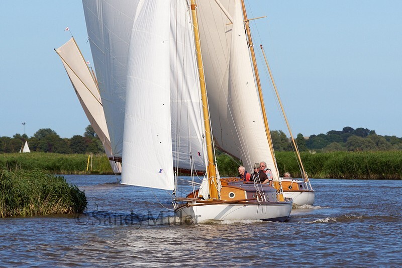_DSC5491 - YSC Cantley Regatta 2018