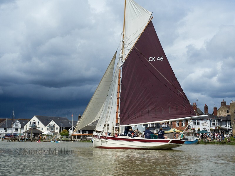 _6220078  - Wivenhoe Regatta 2024
