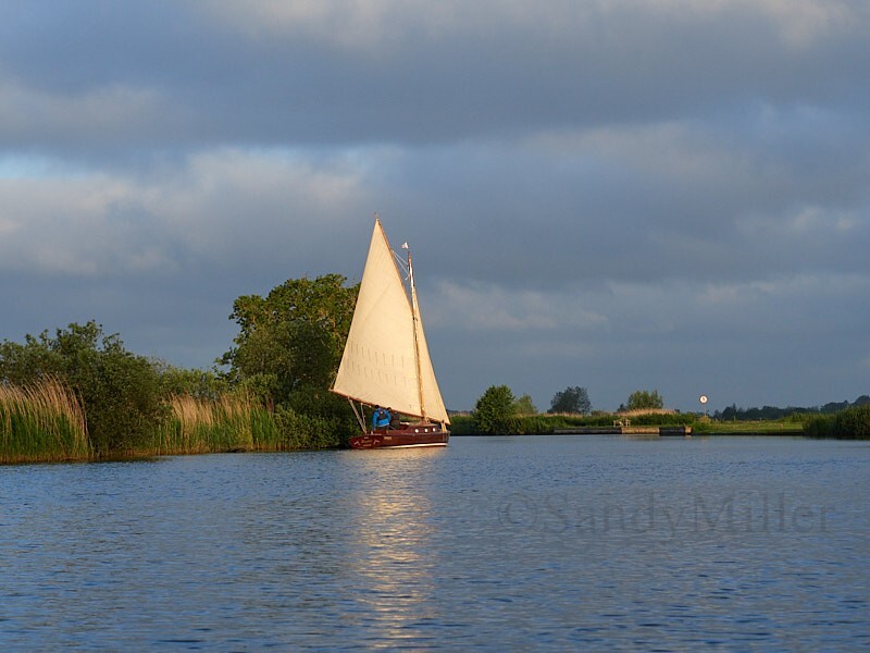 _6020107 - 3 Rivers Race 2024