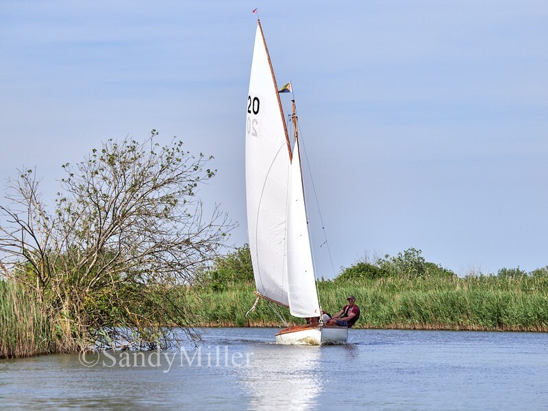 _1016335 - 3 Rivers Race 2026