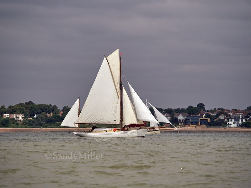 _1018033 - OGA East Coast Race start 2026