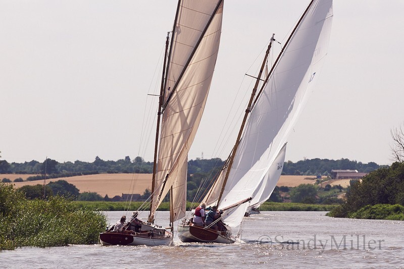 _DSC5718 - YSC Cantley Regatta 2018