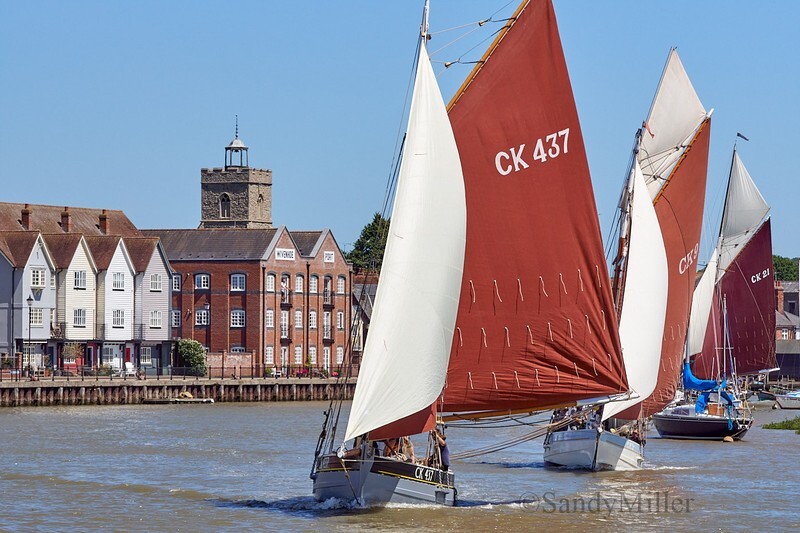 _DSC4613 - Rowhedge Regatta 2018
