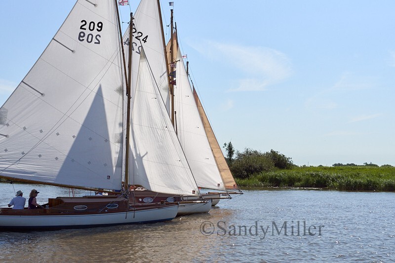 _DSC5570 - YSC Cantley Regatta 2018