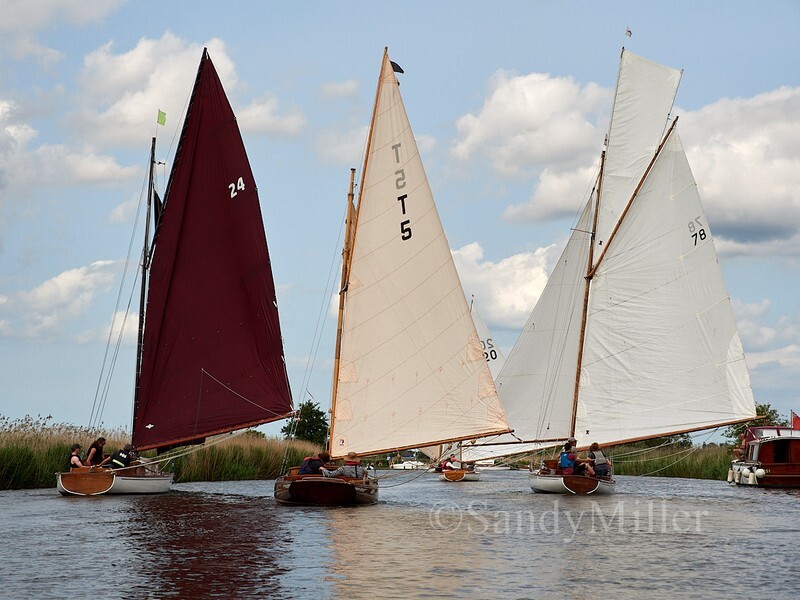 _1010206 - 3 Rivers Race 2025