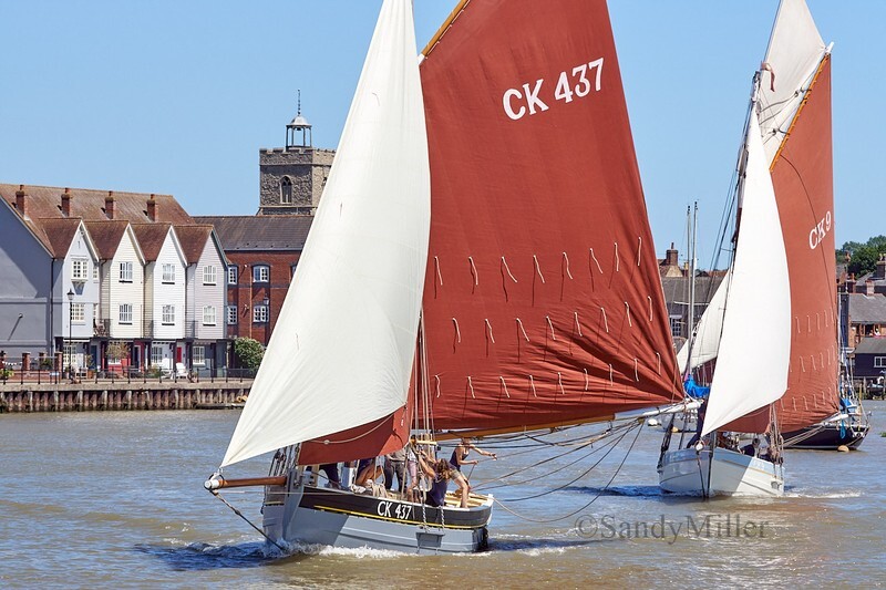 _DSC4616 - Rowhedge Regatta 2018
