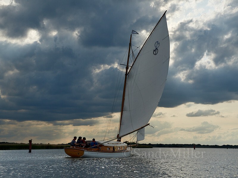 _1010264 - 3 Rivers Race 2025