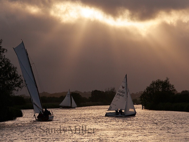 _6013145 - 3 Rivers Race 2024