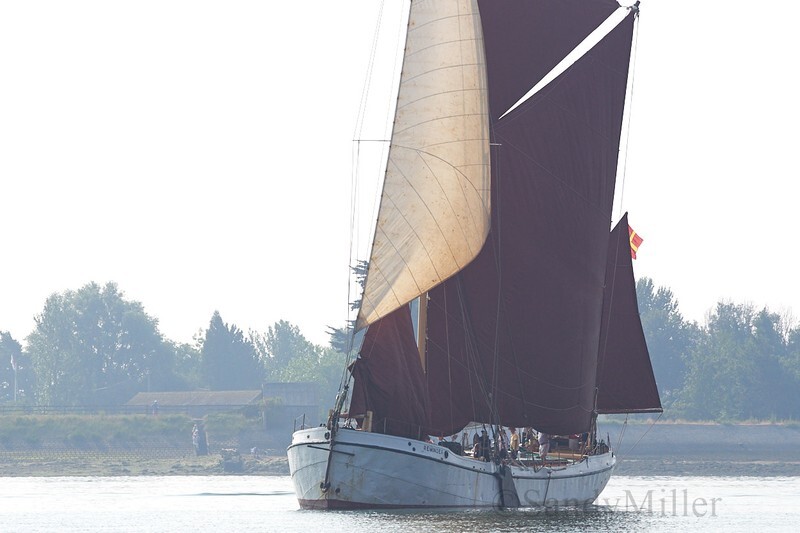 _DSC4905 - Blackwater Smack & Barge Match 2018