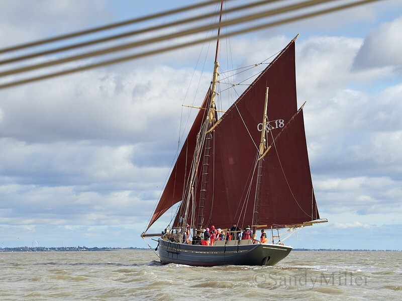 _1015095 - Turkey Race 2025