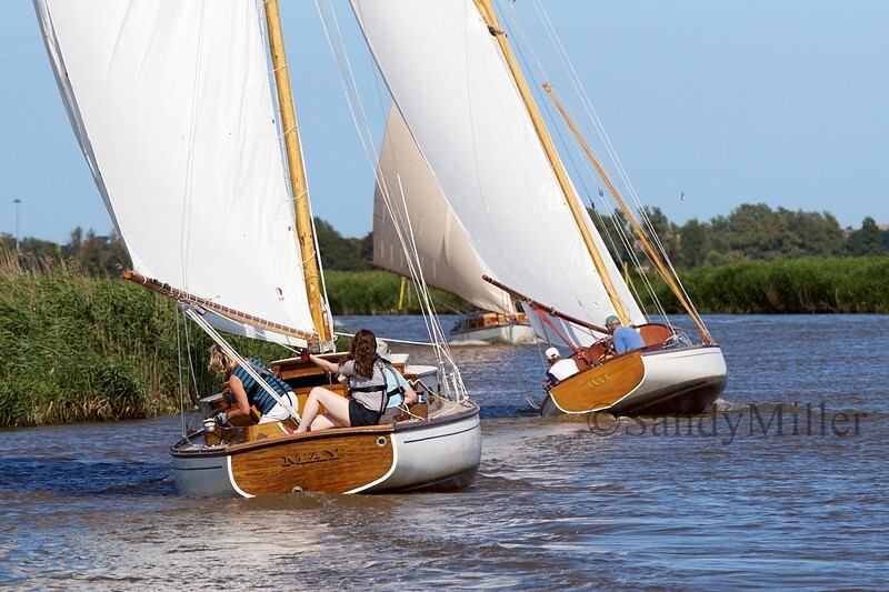 _DSC5383 - YSC Cantley Regatta 2018