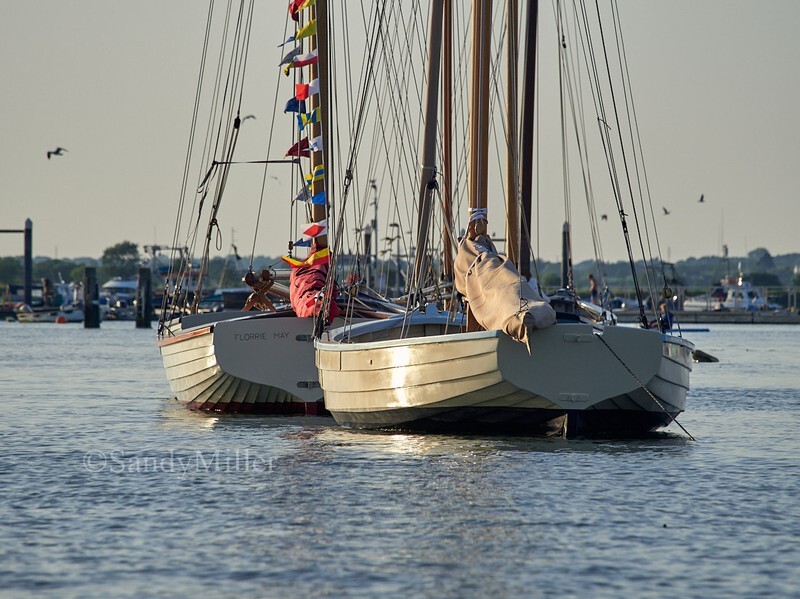 _1015906 - Essex Heritage Workboats at Mersea