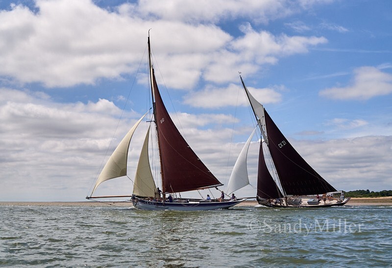 _1010073 - Rowhedge Regatta 2026