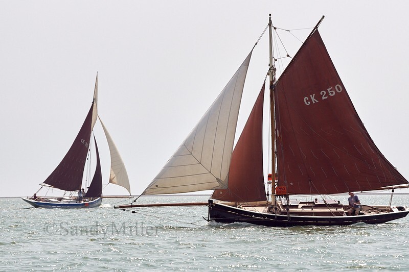 _DSC6026 - OGA East Coast Race 2018