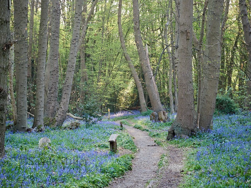 _1015479 1 - New work