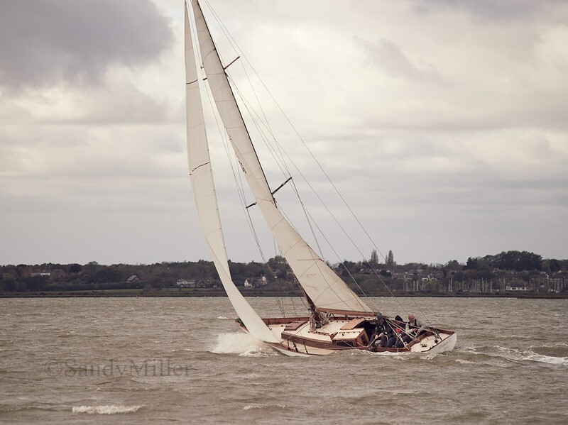 _1015143 - Turkey Race 2025