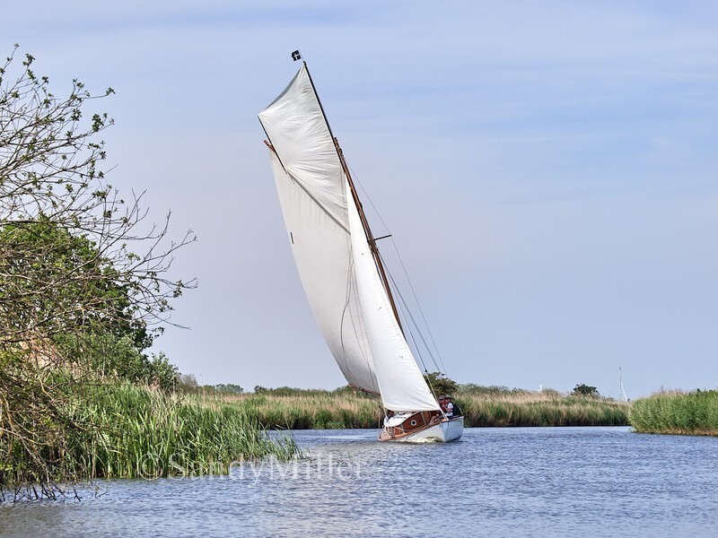 _1016338 - 3 Rivers Race 2026