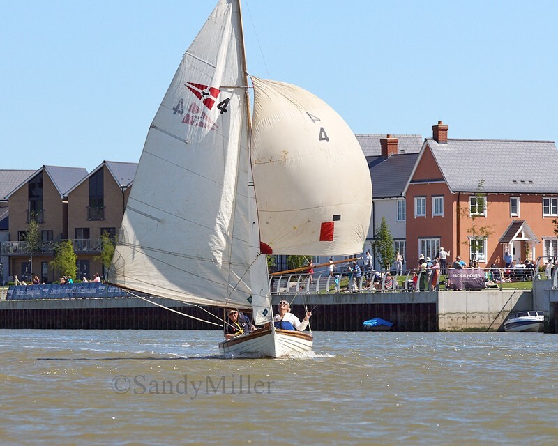 _DSC3797 - Rowhedge Regatta 2019