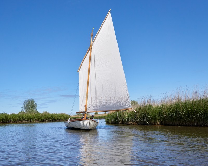 _DSC9954  - 3 Rivers Race 2021