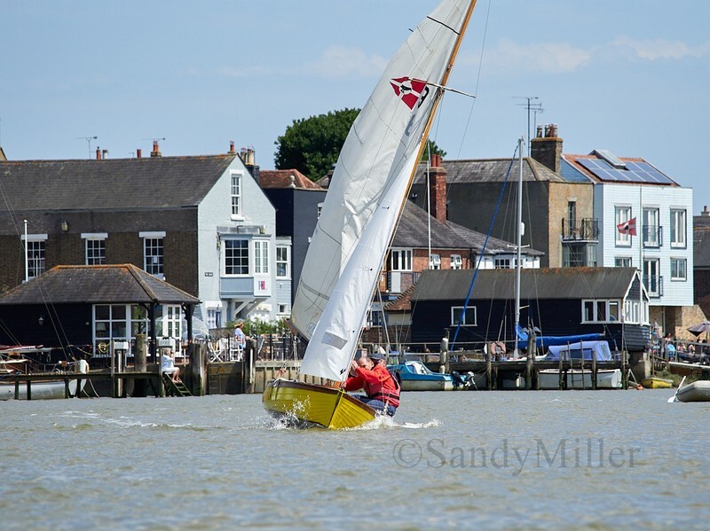 _1010066 - Rowhedge Regatta 2025