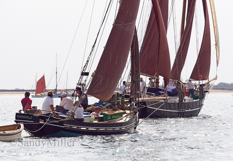 _DSC6233 - OGA East Coast Race 2018