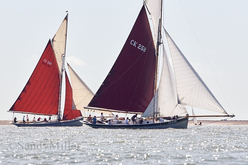 _DSC3726 - Rowhedge Regatta 2019