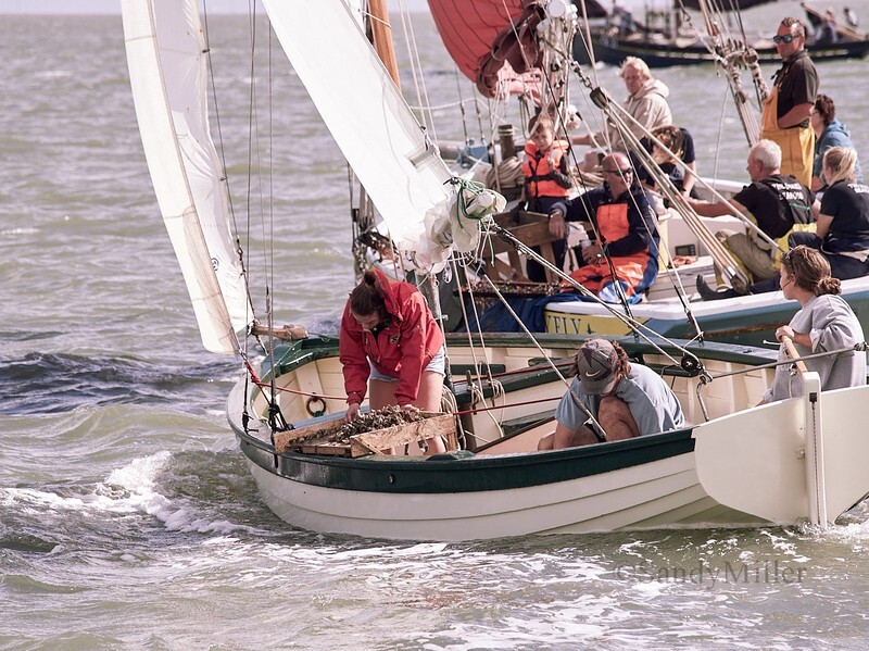  - Gaffers, Classics & Dinghies
