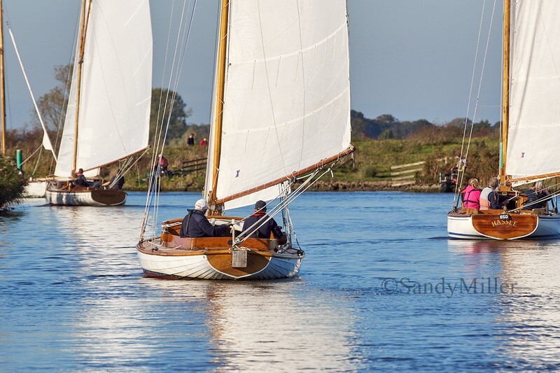 _DSC0971 - Tri-Icicle 2018