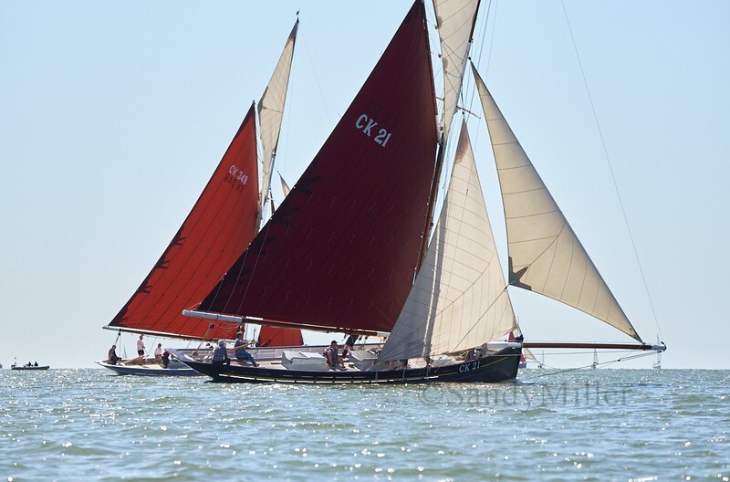 _DSC3716 - Rowhedge Regatta 2019