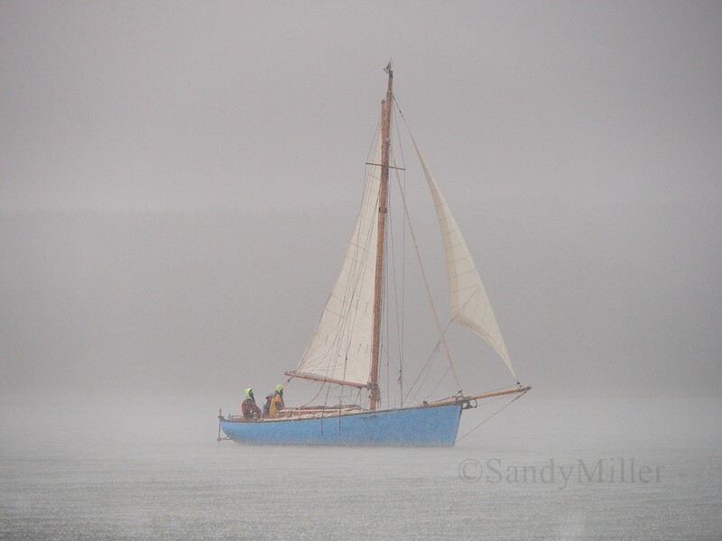 _1015159 1 - Parade of Sail OGA Diamond Jubilee 2023