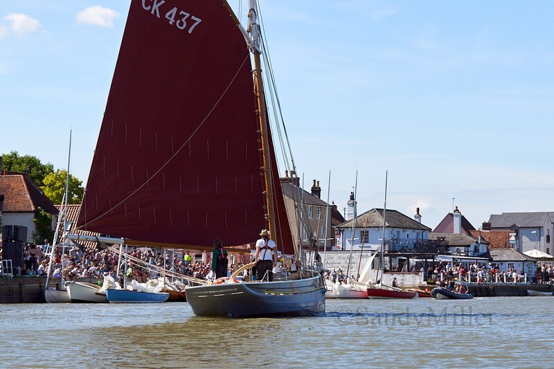 _DSC3817 - Rowhedge Regatta 2019