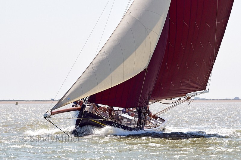 _DSC4476 - Rowhedge Regatta 2018