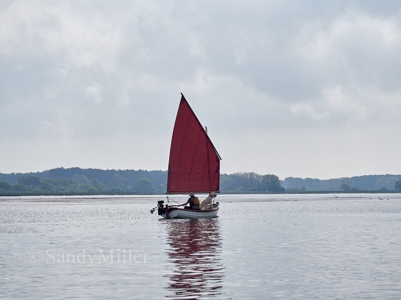 _1015547 - OGA Deben Rally / WBTA Wooden Boat Gathering 2026