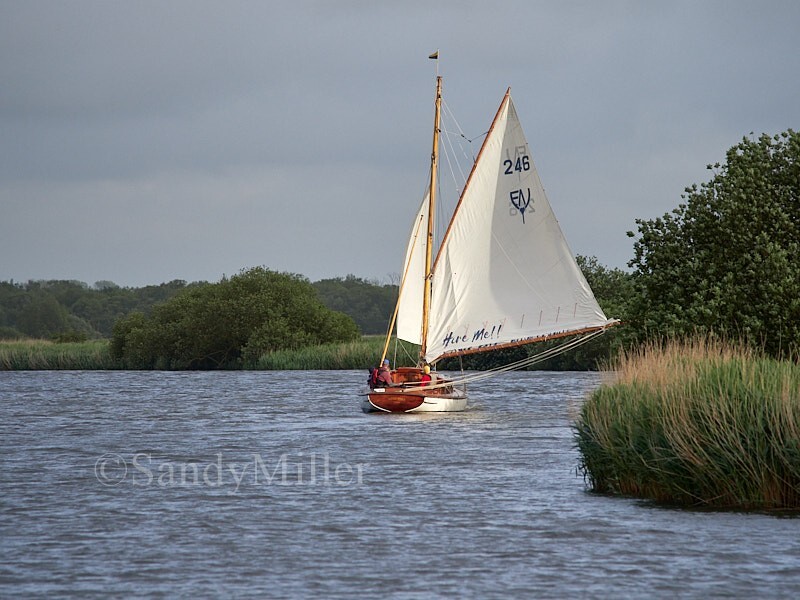 _6013041 - 3 Rivers Race 2024