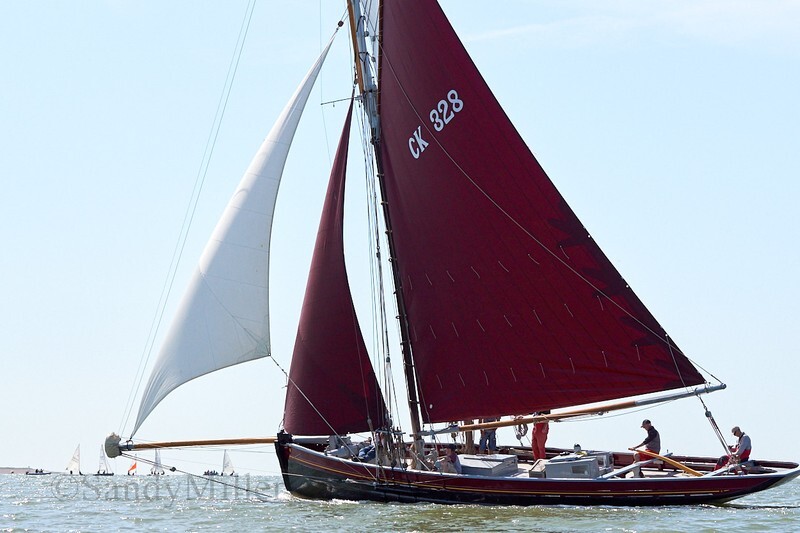 _DSC36863 - Rowhedge Regatta 2019