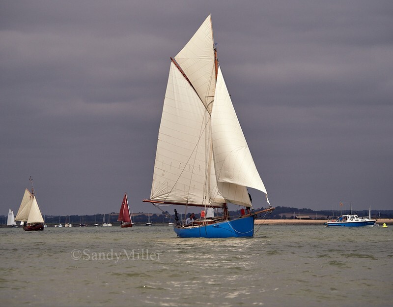 _1018026 - OGA East Coast Race start 2026