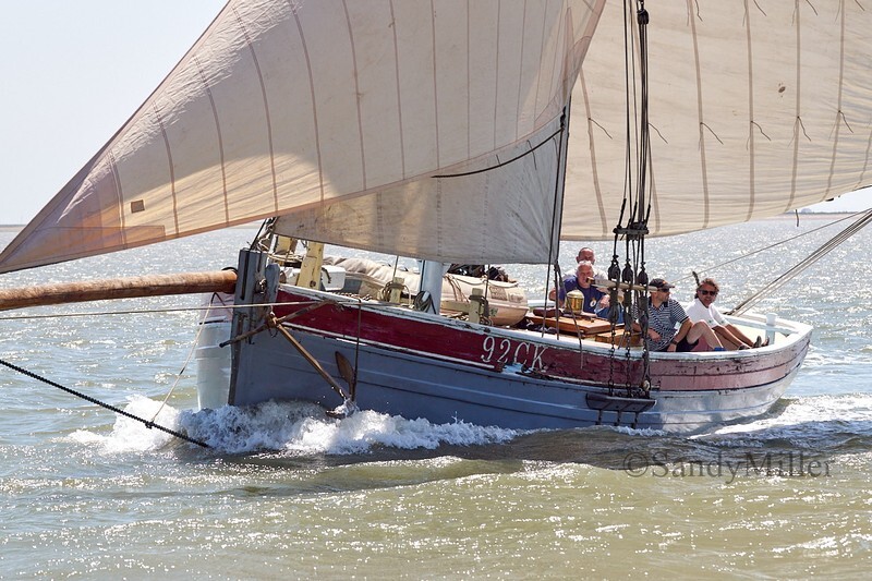 _DSC4486 - Rowhedge Regatta 2018