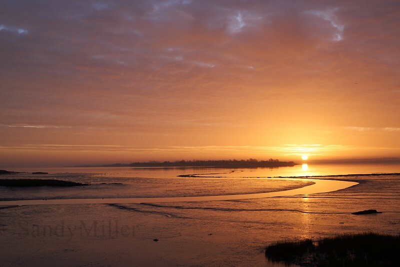 _DSC3064 - Estuary light
