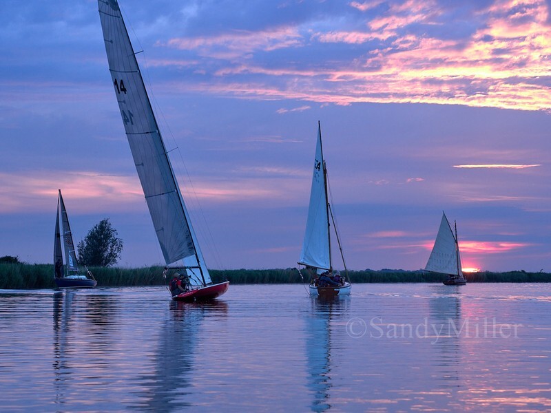 _1016815 - 3 Rivers Race 2026