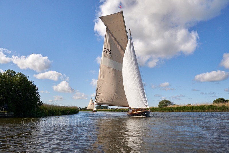 _DSC4791 - 3 Rivers Race 2022