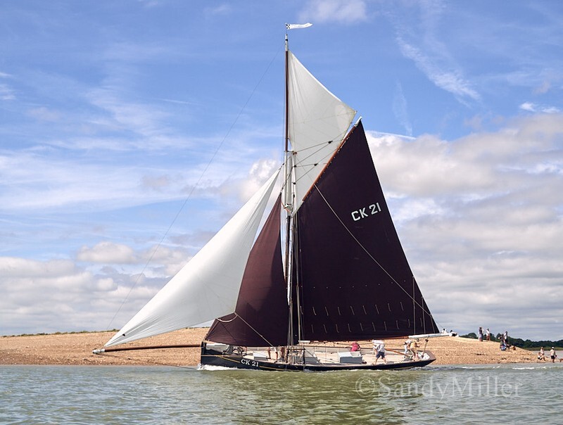 _1010032 - Rowhedge Regatta 2026