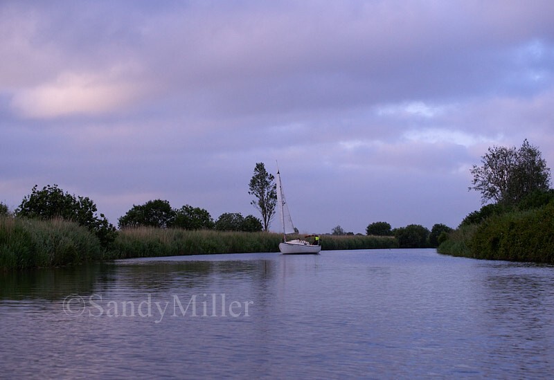 _6023193 - 3 Rivers Race 2024