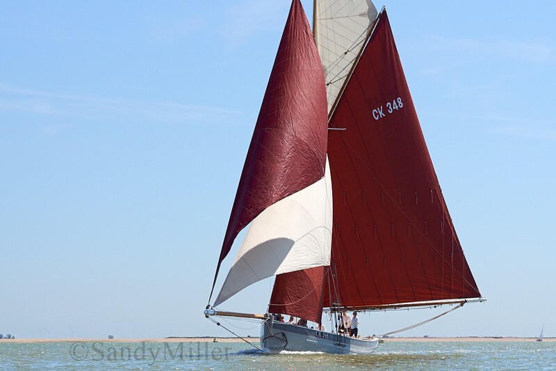 _DSC3757 - Rowhedge Regatta 2019