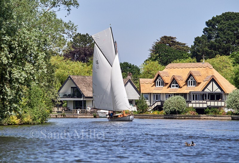 _1016202 - 3 Rivers Race 2026