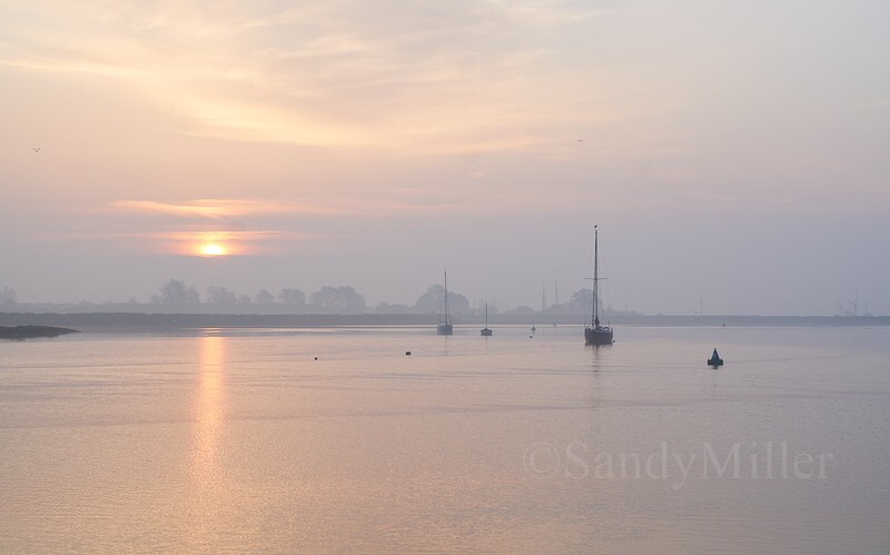 _DSC8328 - Estuary light