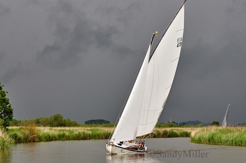 _DSC3056 - 3 Rivers Race 2018