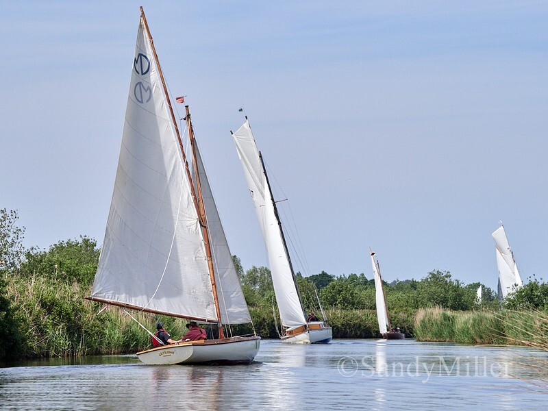 _1016279 - 3 Rivers Race 2026