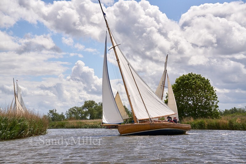 _DSC4726 - 3 Rivers Race 2022