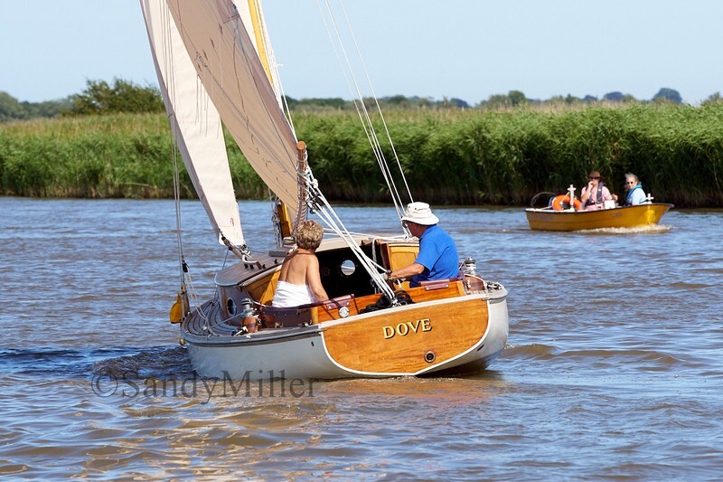 _DSC5415 - YSC Cantley Regatta 2018