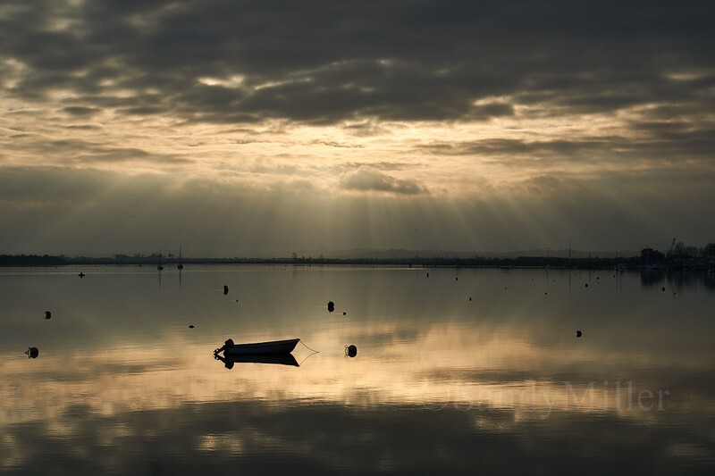 _DSC6196 - Estuary light